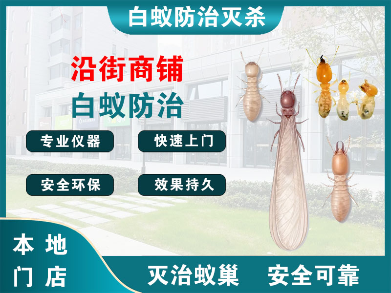 钱塘区沿街商铺白蚁防治