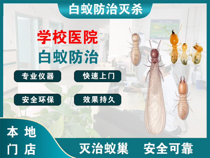 钱塘区学校医院白蚁防治
