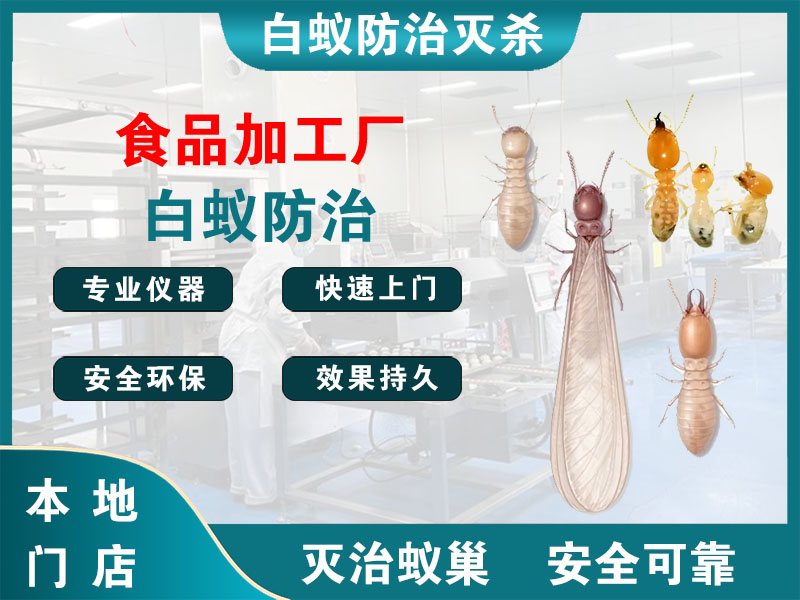 钱塘区食品加工厂白蚁防治