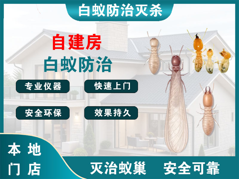 钱塘区自建房白蚁防治