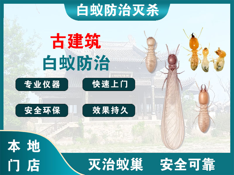 钱塘区古建筑白蚁防治