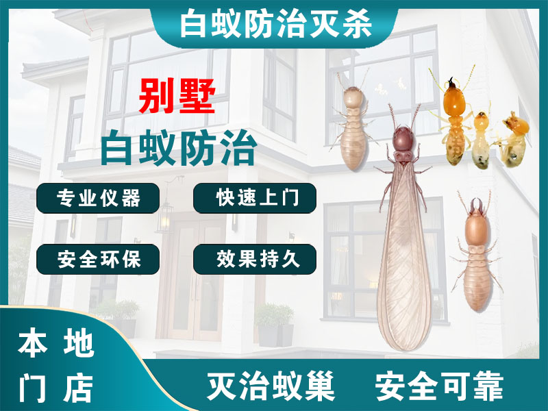 钱塘区别墅白蚁防治